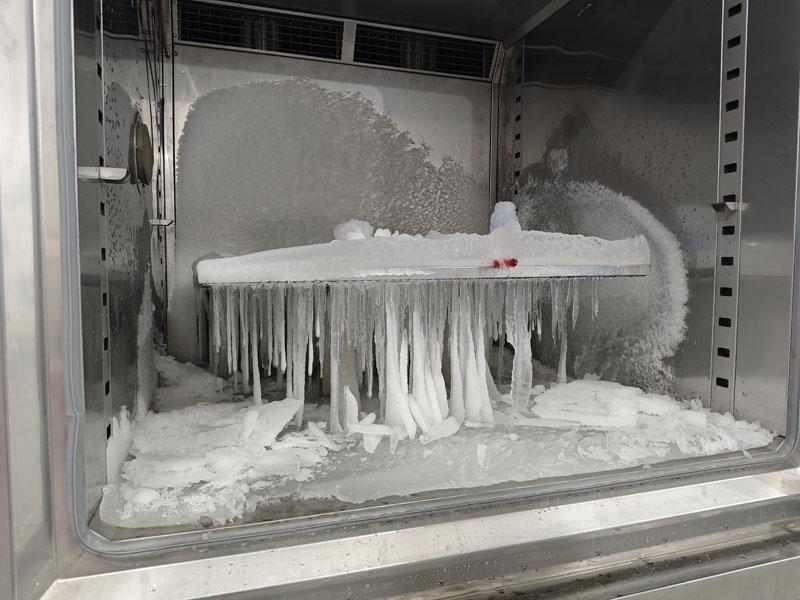 IMG_20250109_100513.jpg IMG_20250109_100513.jpg