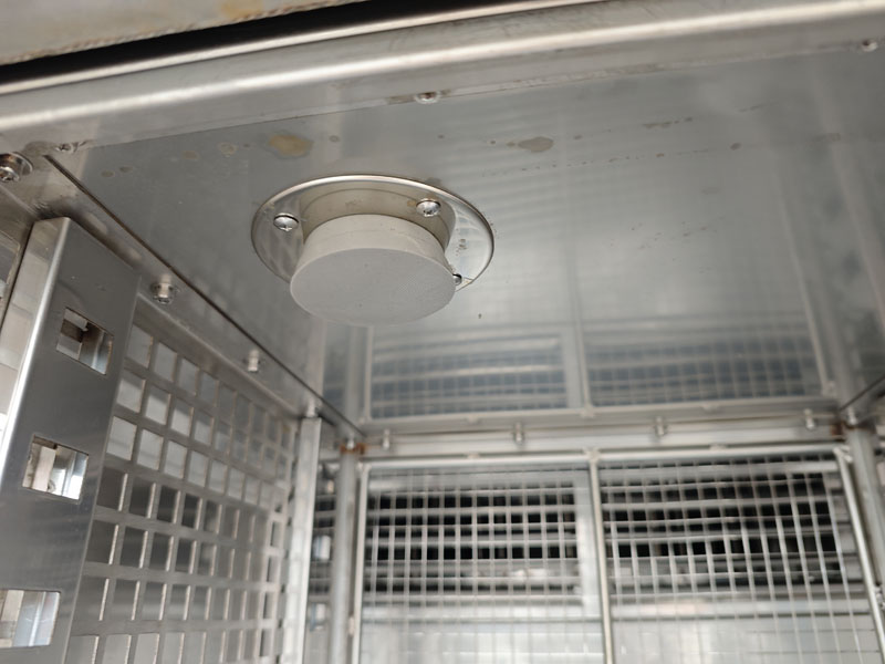 IMG_20250604_164247.jpg IMG_20250604_164247.jpg