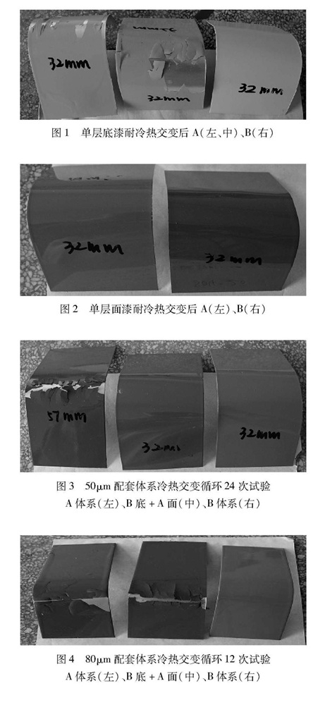 43e2cb23-2542-4aa6-9480-057190bcafa4_副本.jpg