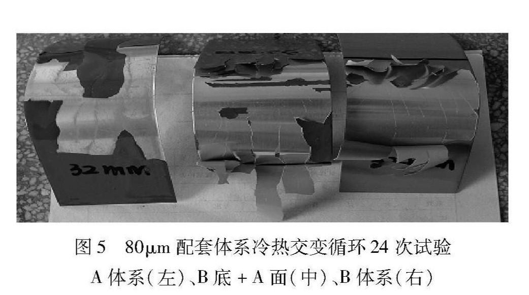 4f0b9ad2-9765-4d84-9978-69253f7d6cbd_副本.jpg